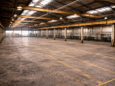 Budynek użytkowy Ozorków