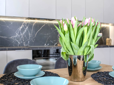 Mieszkanie Nowy Dwór Mazowiecki