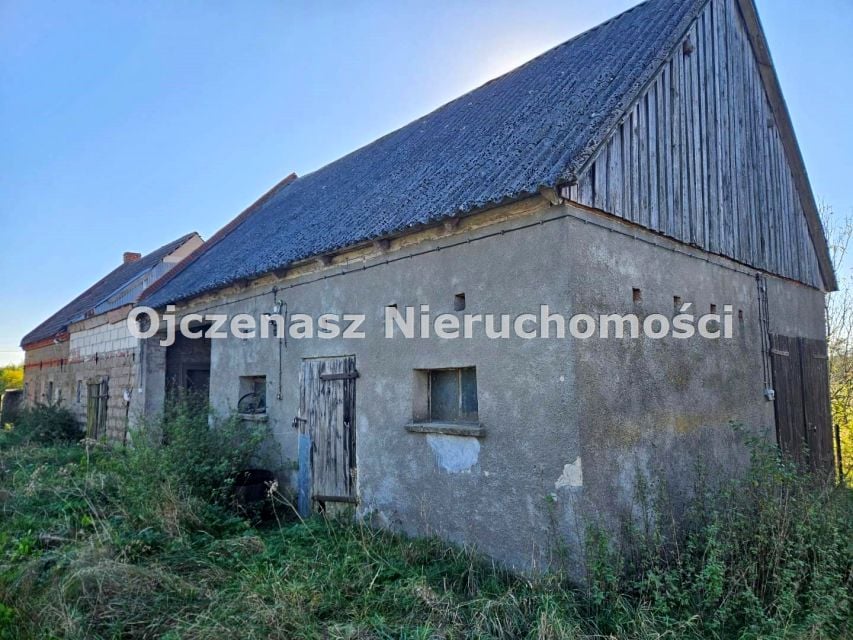 Zdjęcie 3