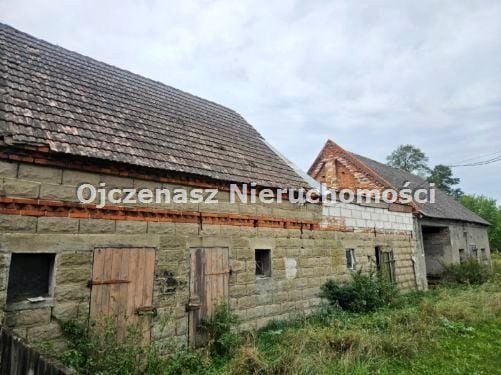 Zdjęcie 2