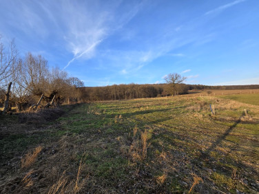 Działka budowlana Kwietniki