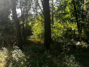 Działka budowlana Warszawa