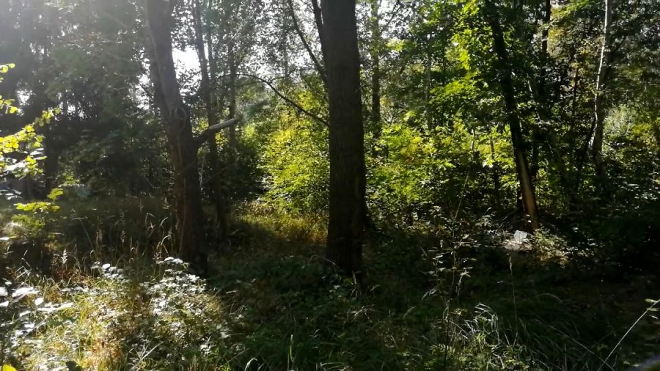 Działka budowlana Warszawa