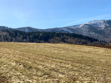 Działka usługowa Lipowa