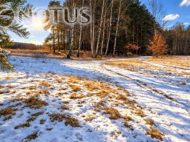 Działka budowlana Cegielnik