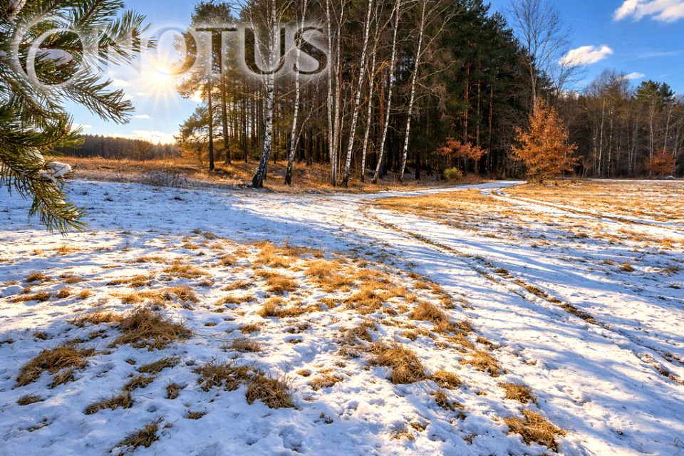 Działka budowlana Cegielnik