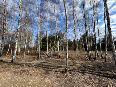 Działka budowlana Jastrzębnik sprzedam