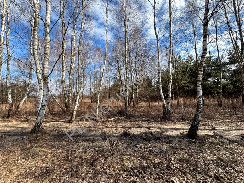 Działka Jastrzębnik