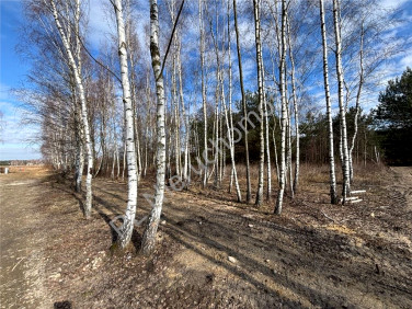 Działka Jastrzębnik