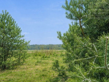 Działka budowlana Siestrzeń