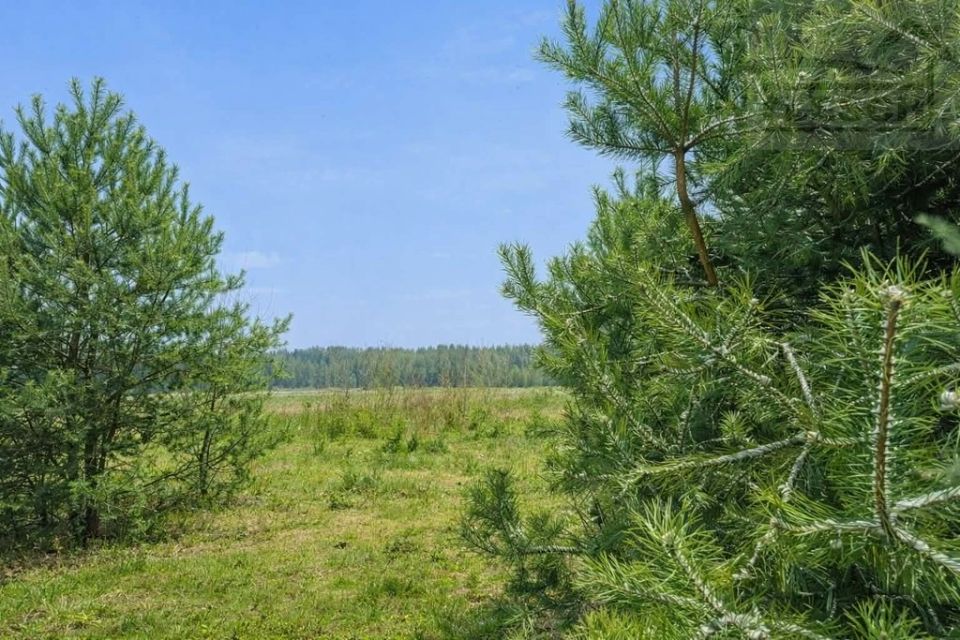 Działka budowlana Siestrzeń