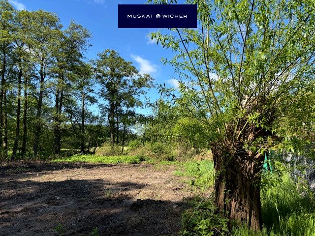 Działka usługowa Osłonino