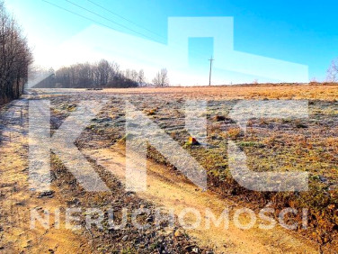 Działka rolna Buchcice sprzedam