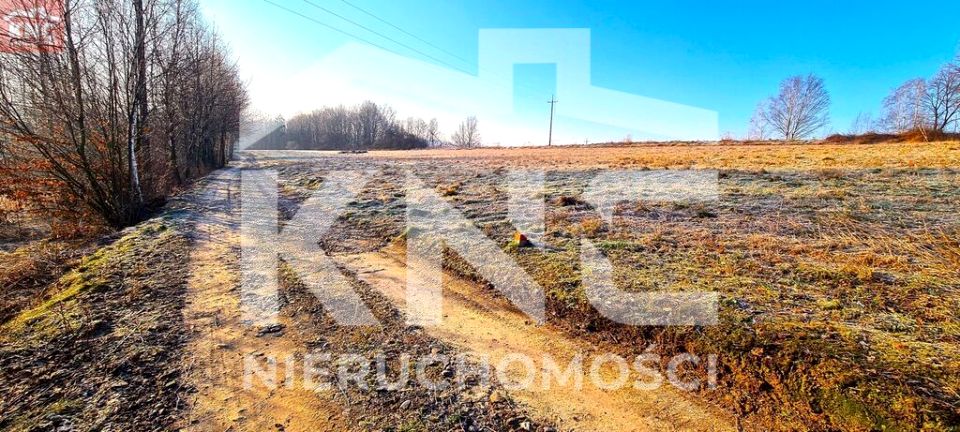 Działka rolna Buchcice sprzedam