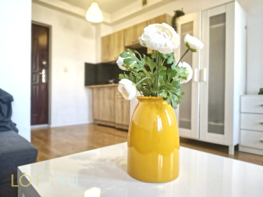 Mieszkanie Sosnowiec