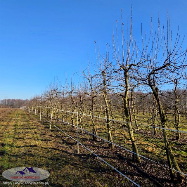 Działka rolna Siedlec