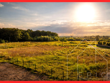 Działka budowlana Grzybowo