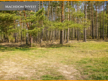 Działka usługowa Skrzynki