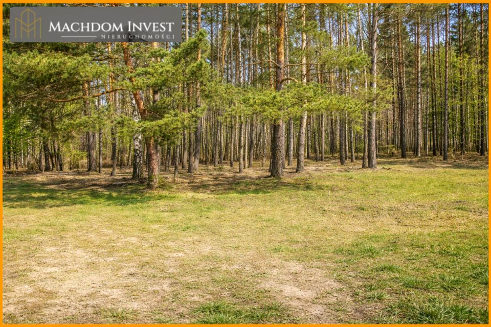 Działka usługowa Skrzynki