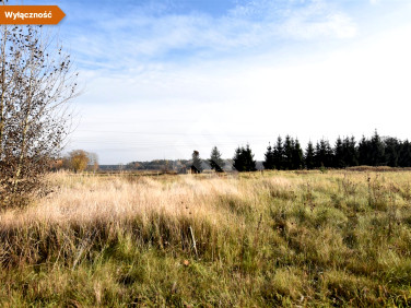 Działka Leszyce