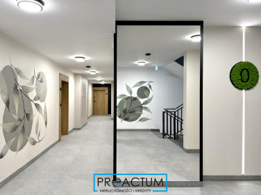 Mieszkanie Aleksandrów Kujawski wynajem