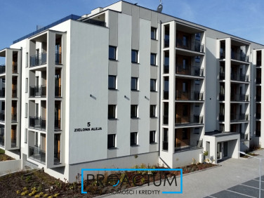 Mieszkanie Aleksandrów Kujawski