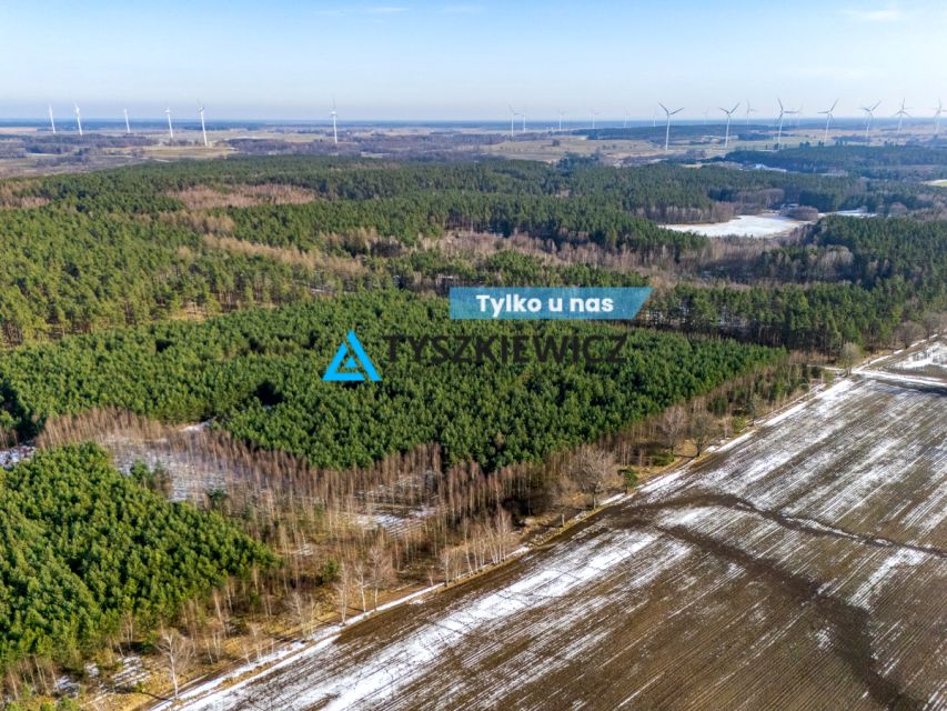 Działka leśna Kazimierz