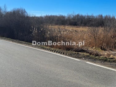 Działka przemysłowa Borek