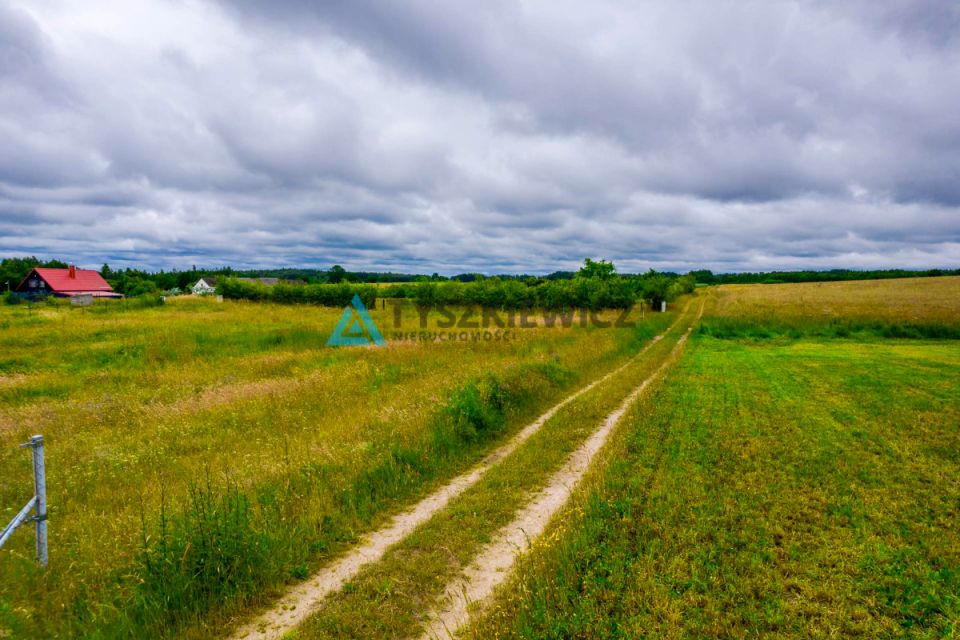 Zdjęcie 2