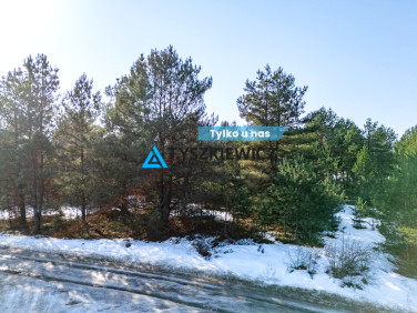 Działka budowlana Nowa Kiszewa