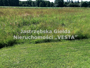 Działka budowlana Skrzyszów