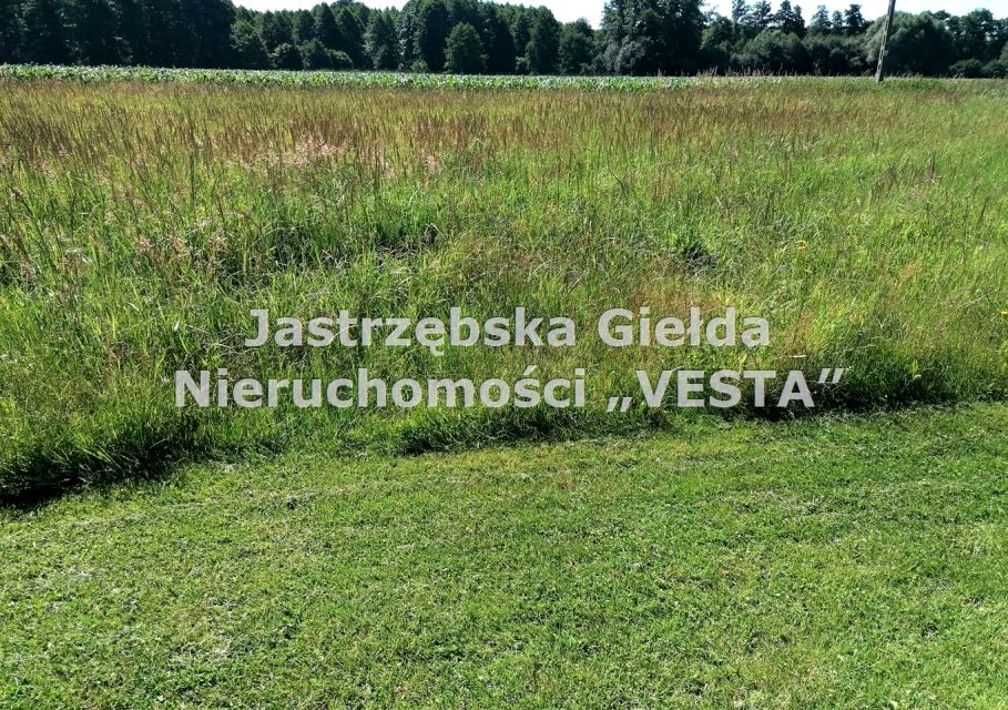 Działka budowlana Skrzyszów