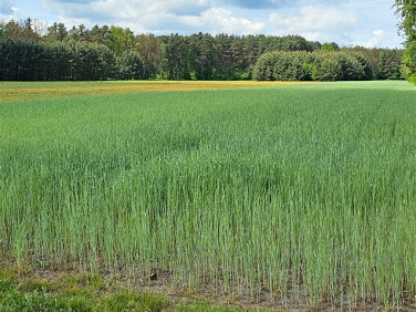 Działka budowlana Dobrodzień