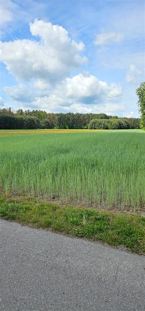 Działka budowlana Dobrodzień