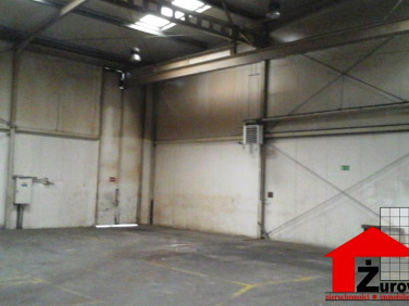 Budynek użytkowy Ząbkowice Śląskie sprzedaż