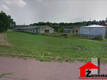 Budynek użytkowy Szczepanek sprzedaż
