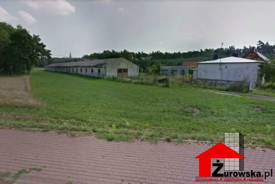 Budynek użytkowy Szczepanek sprzedaż