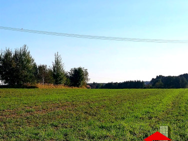 Działka Zdzieszowice