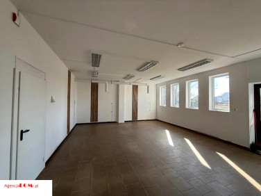 Lokal Błonie wynajem