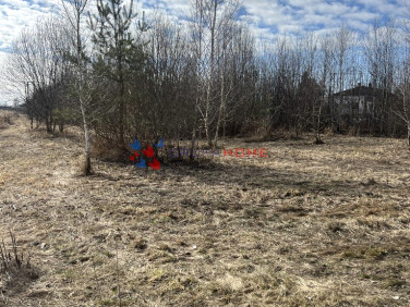 Działka siedliskowa Prażmów sprzedam