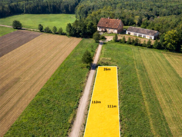 Działka rolna Złotoria