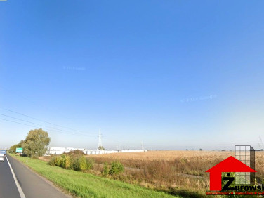 Działka inwestycyjna Sady sprzedam