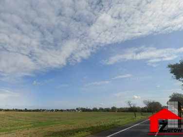 Działka inwestycyjna Bytyń sprzedam