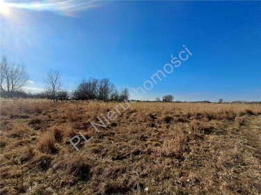 Działka budowlana Chlebnia