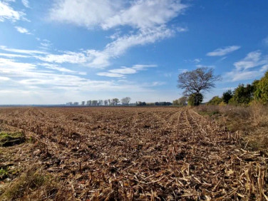 Działka budowlana Jenkowice