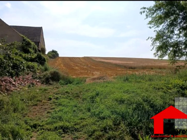 Działka Rożniątów