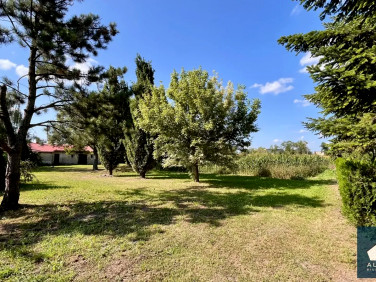 Działka budowlano-rolna Sobota