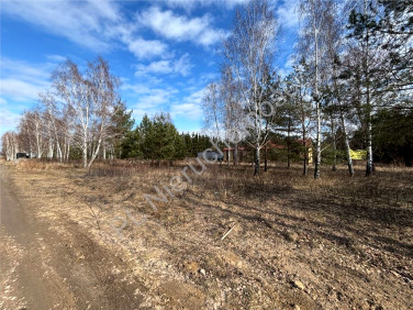 Działka Jastrzębnik