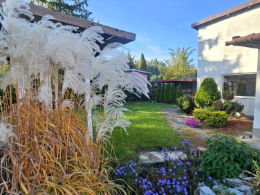 Działka rekreacyjna Otowo