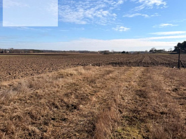 Działka budowlana Borówno